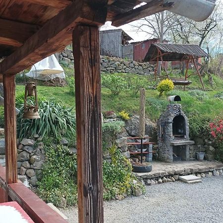 Villa Meselak Ocna de Sus Exterior foto