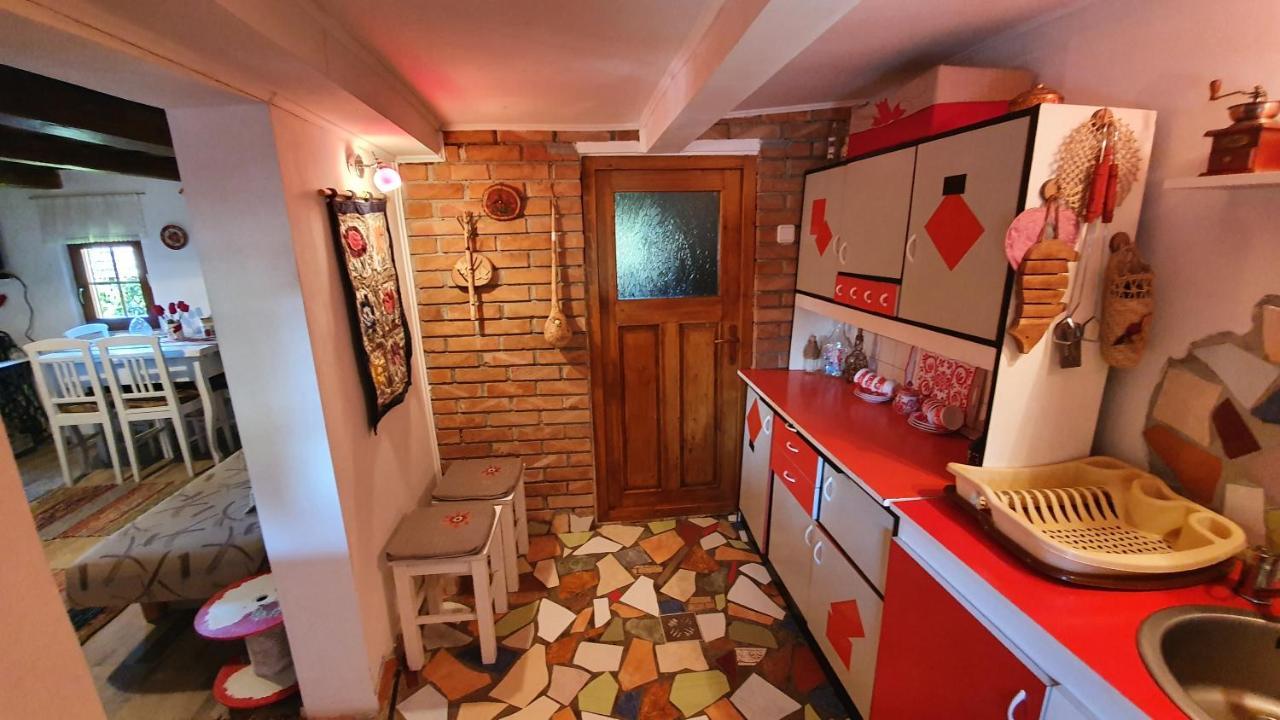 Villa Meselak Ocna de Sus Exterior foto
