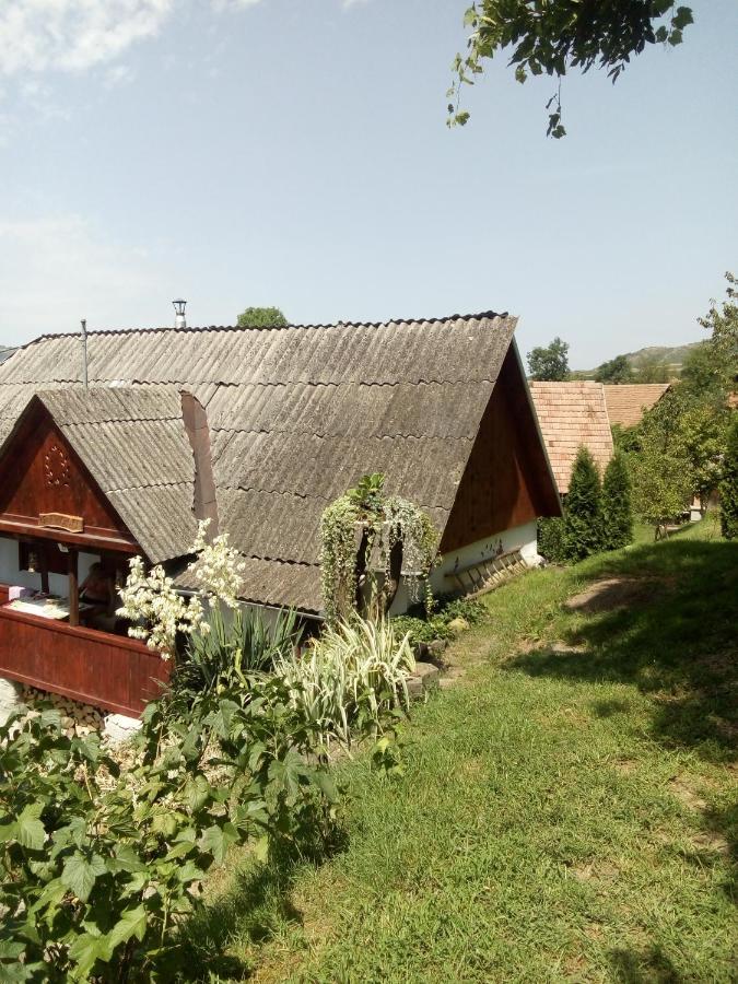 Villa Meselak Ocna de Sus Exterior foto