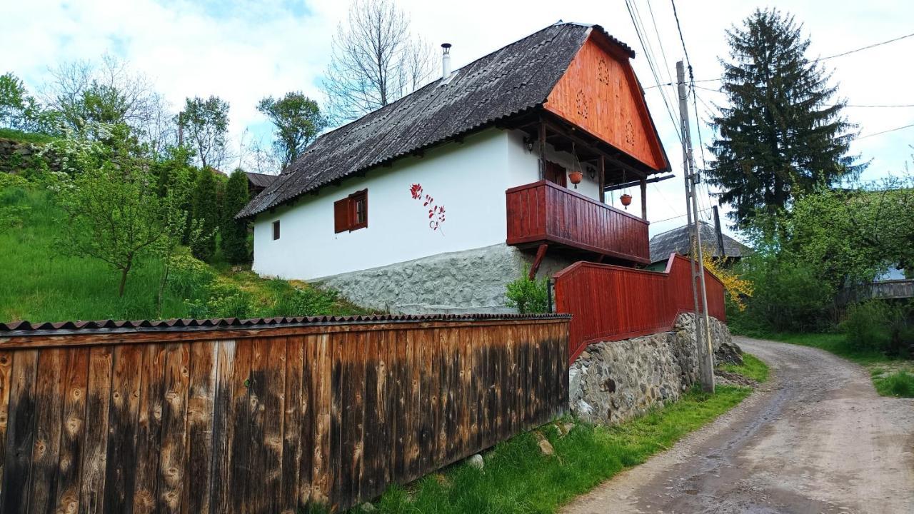 Villa Meselak Ocna de Sus Exterior foto